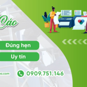 bien vay quang cao's avatar