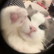 Eva Mae Miller's avatar