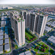 An Bình Homeland's avatar