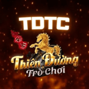 tdtc - thiên đường trò chơi's avatar