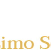 Taj Limo Service's avatar