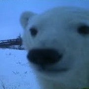 jacob khalifa's avatar