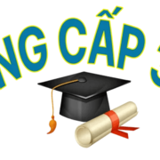 Bằng cấp uy tín 365's avatar