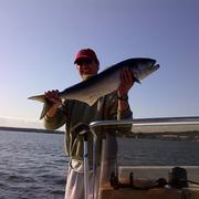 Michael Lally's avatar