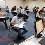 Bằng cấp giả - Giấy tờ giả's avatar