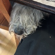 Wonseok Lee's avatar