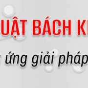 Dịch Thuật Bách Khoa's avatar