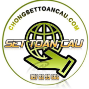 Kim thu sét Sét Toàn Cầu's avatar