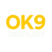 ok9vndev ok9vndev's avatar