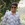 shaik Mushtaaq