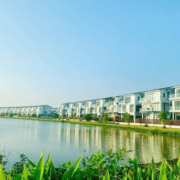 Belhomes Hải Phòng's avatar