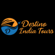 DestinoIndia Tour's avatar