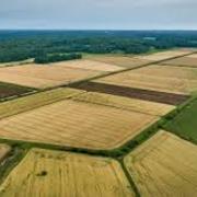 Ezekiela ryan's avatar