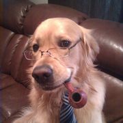 Will Wright's avatar