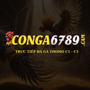 Conga6789 Cam's avatar