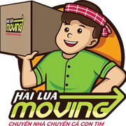 Hailua Moving's avatar
