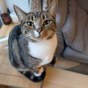 Freya Dover's avatar