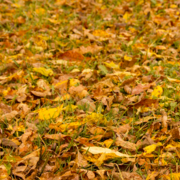 omar nashaat's avatar