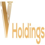 Vㅤ Holdings's avatar