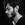 Abdullah Siddique