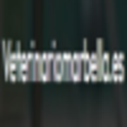 veterinario para perros en la localidad de Marbella's avatar