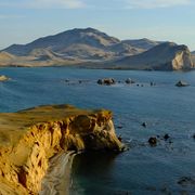 Toshiki Loh's avatar