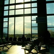 Sophia Zhang's avatar