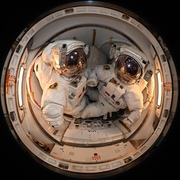 Ayush Srivastava's avatar