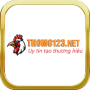THOMO123 NET's avatar