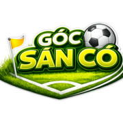 gocsanco com's avatar