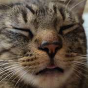 Jessica Mora Jacinto