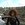 Orit Endalk
