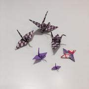 Matthew Hsia's avatar