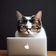 Elero Obaitan's avatar