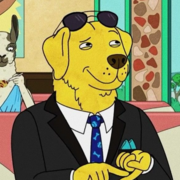 Sarvesh V Pandiarajan