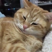 Akshansh Hardaha's avatar