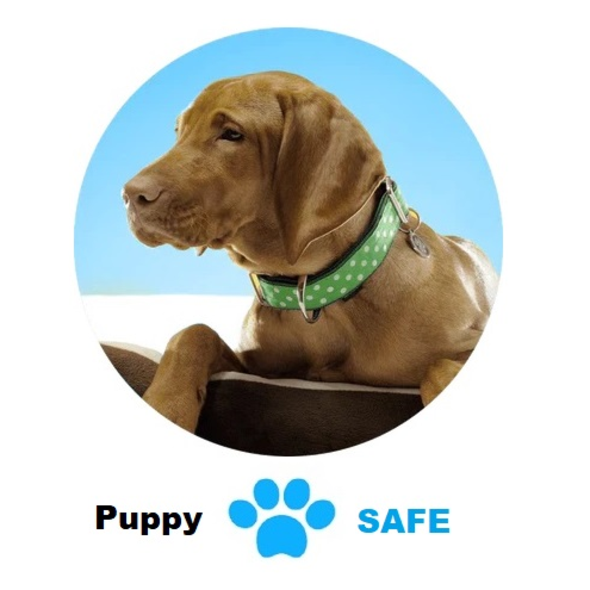 Puppysafe avis' (puppysafeavis1) software portfolio | Devpost