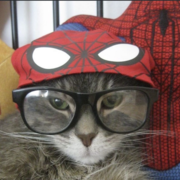 Tiffany Chen's avatar