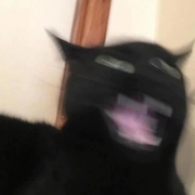 Adithi Suresh's avatar