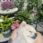 Seon Woo Lee's avatar