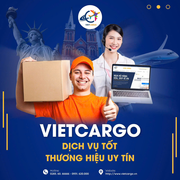 VietCargo Logictis's avatar
