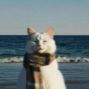 Abhinav Neupane's avatar