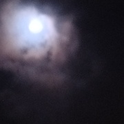 XIAO YAO XIN ANNIE 肖堯心 3A11's avatar