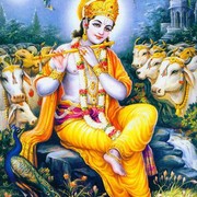 Pramila Sharan's avatar