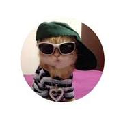 Prateek Yadav's avatar