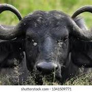 Jayant Yadav's avatar