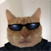 Barsik Cool's avatar