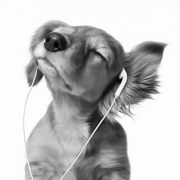 Jose Villicana Brugada