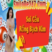 Soi Cầu 247's avatar