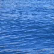 Jiaying Lin's avatar